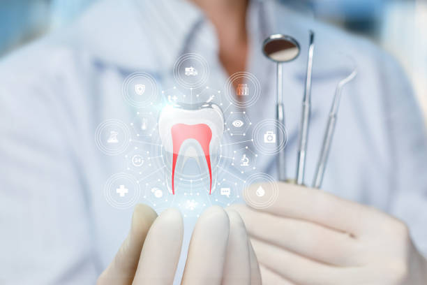 Happy Valley, OR Holistic Dental Care Services Company